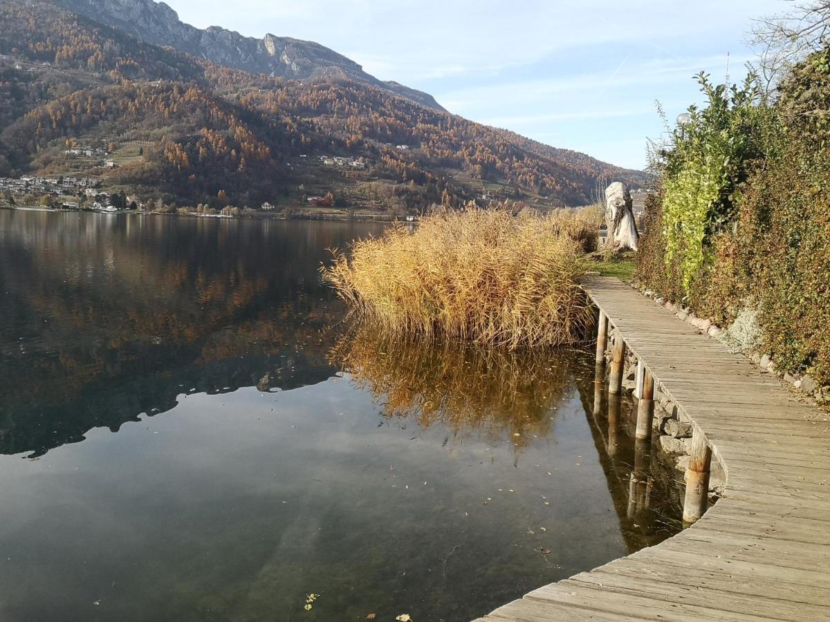 Il Riccio Del Castagno Apartamento Novaledo Exterior foto