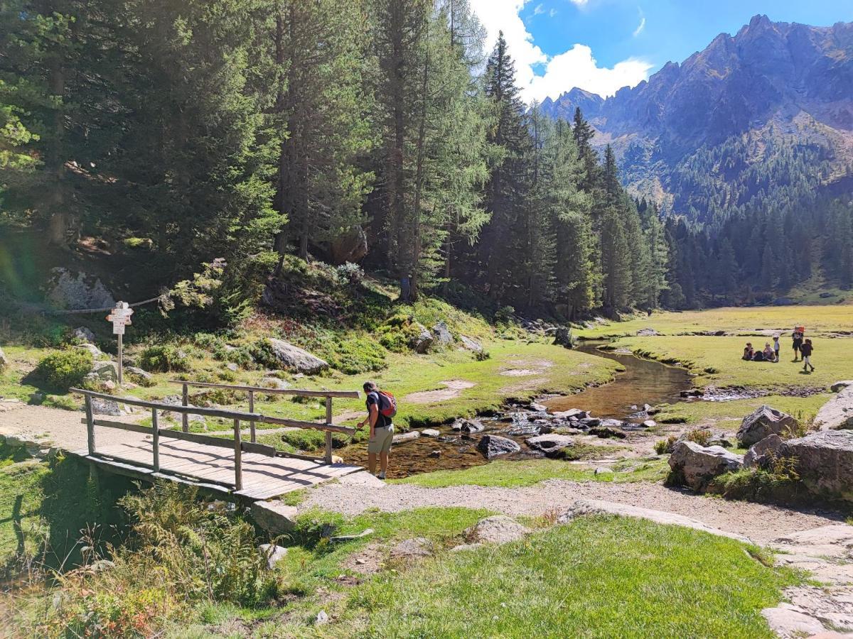 Il Riccio Del Castagno Apartamento Novaledo Exterior foto