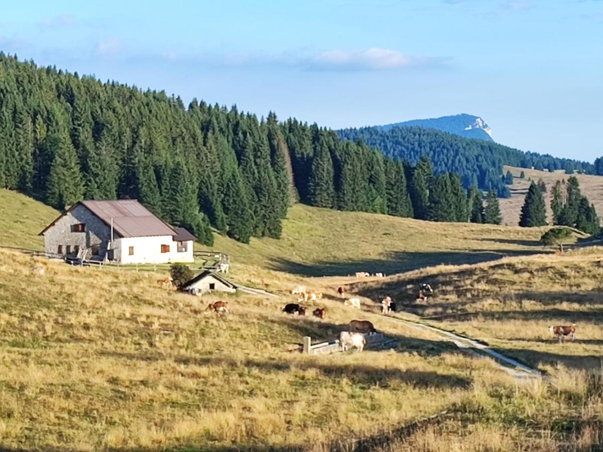 Il Riccio Del Castagno Apartamento Novaledo Exterior foto